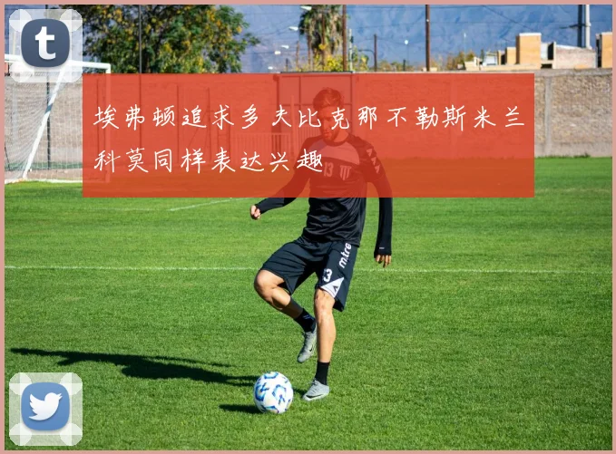 埃弗顿追求多夫比克那不勒斯米兰科莫同样表达兴趣