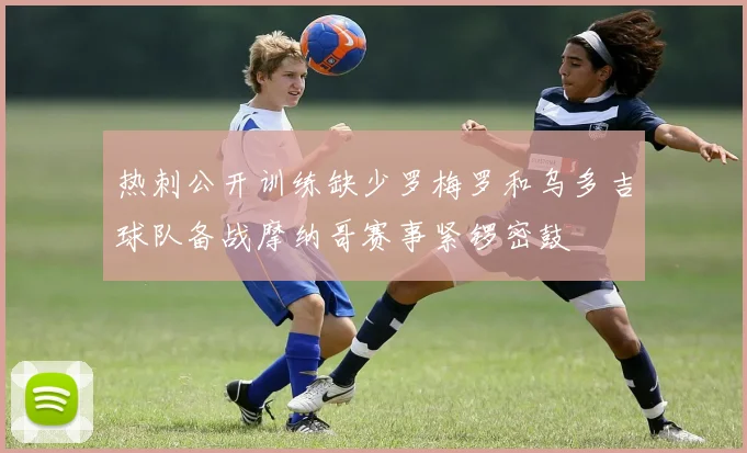 热刺公开训练缺少罗梅罗和乌多吉球队备战摩纳哥赛事紧锣密鼓