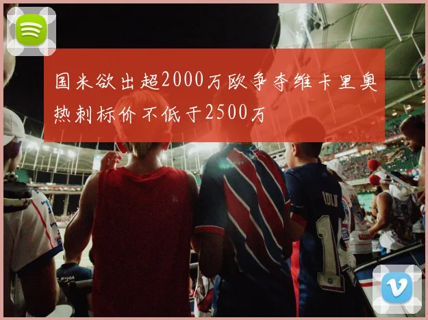 国米欲出超2000万欧争夺维卡里奥热刺标价不低于2500万